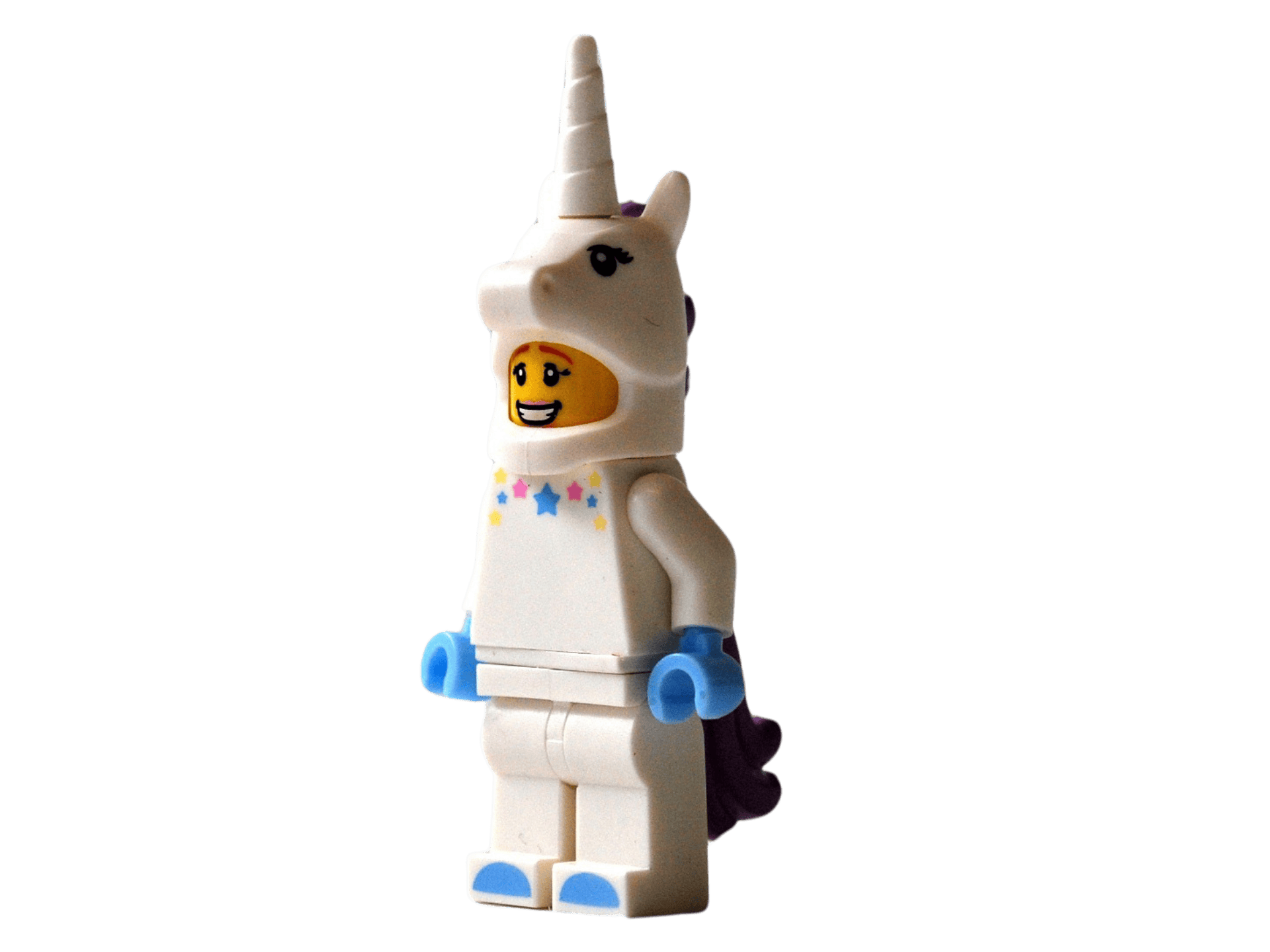 Lego & Playmobil