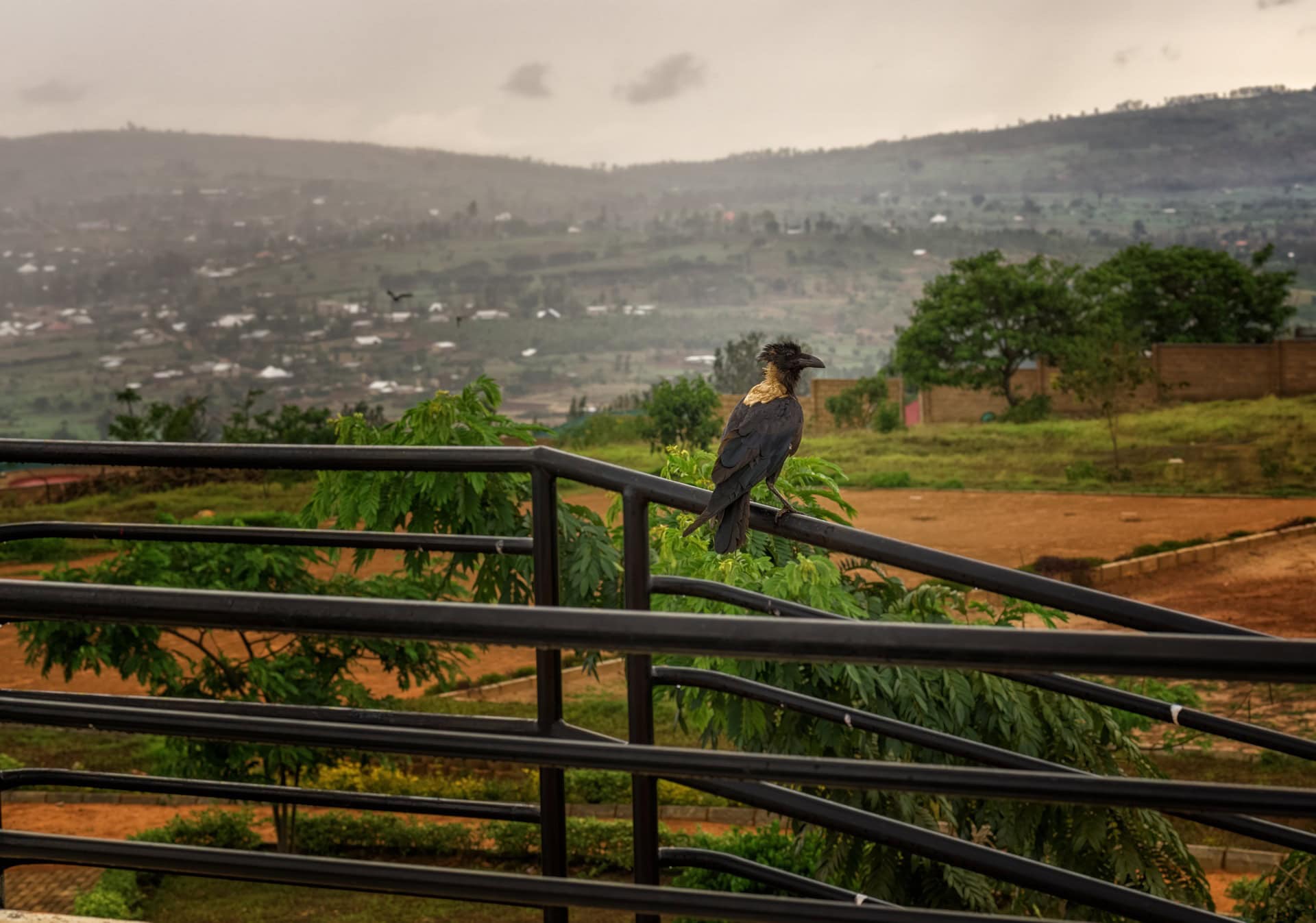 Ruanda